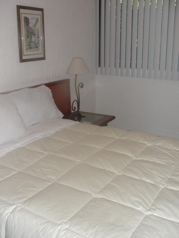 מקסיקו סיטי Steinhaus Suites Homero מראה חיצוני תמונה