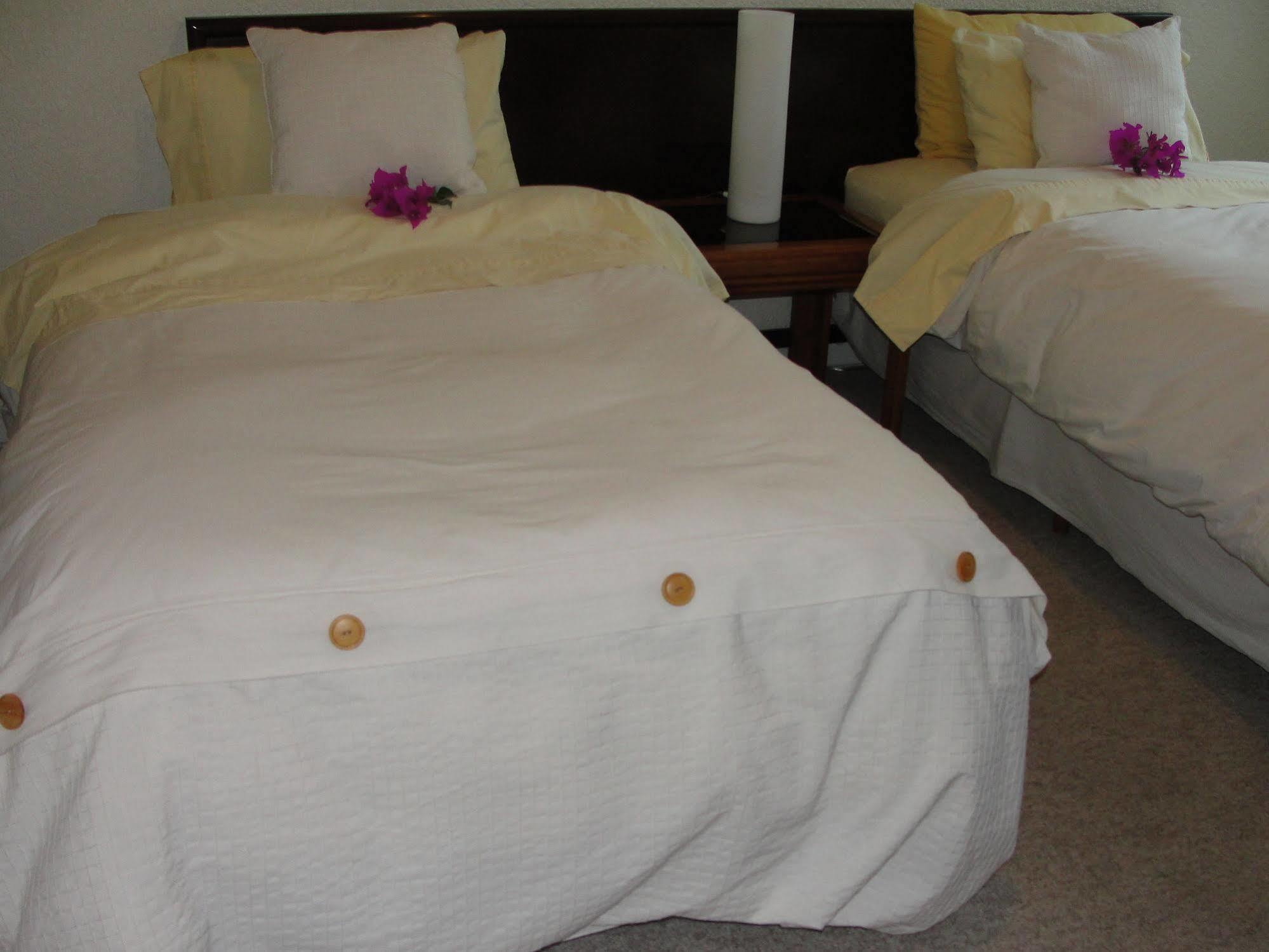 מקסיקו סיטי Steinhaus Suites Homero מראה חיצוני תמונה